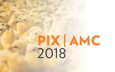 PIX/AMC 2018