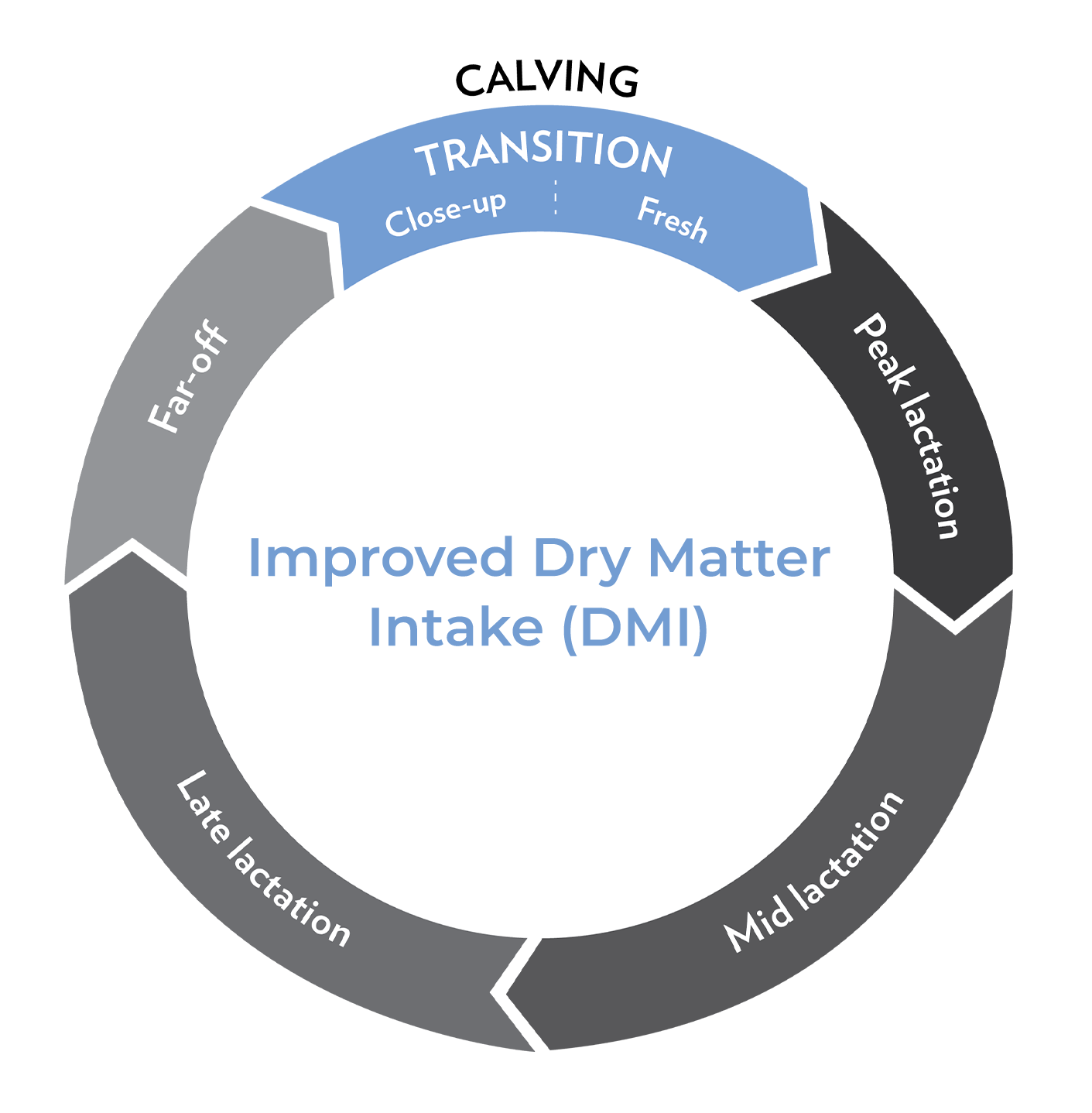 calving-1