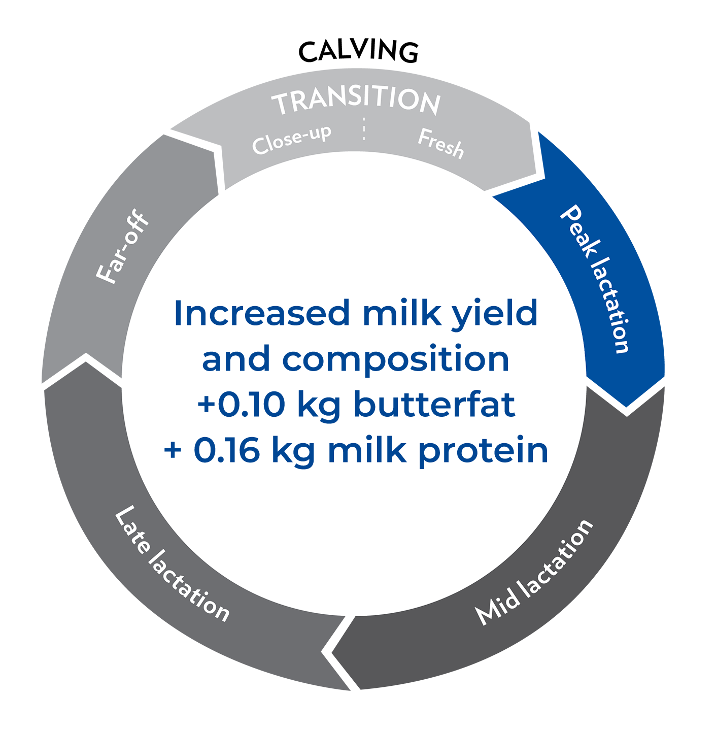 calving-2