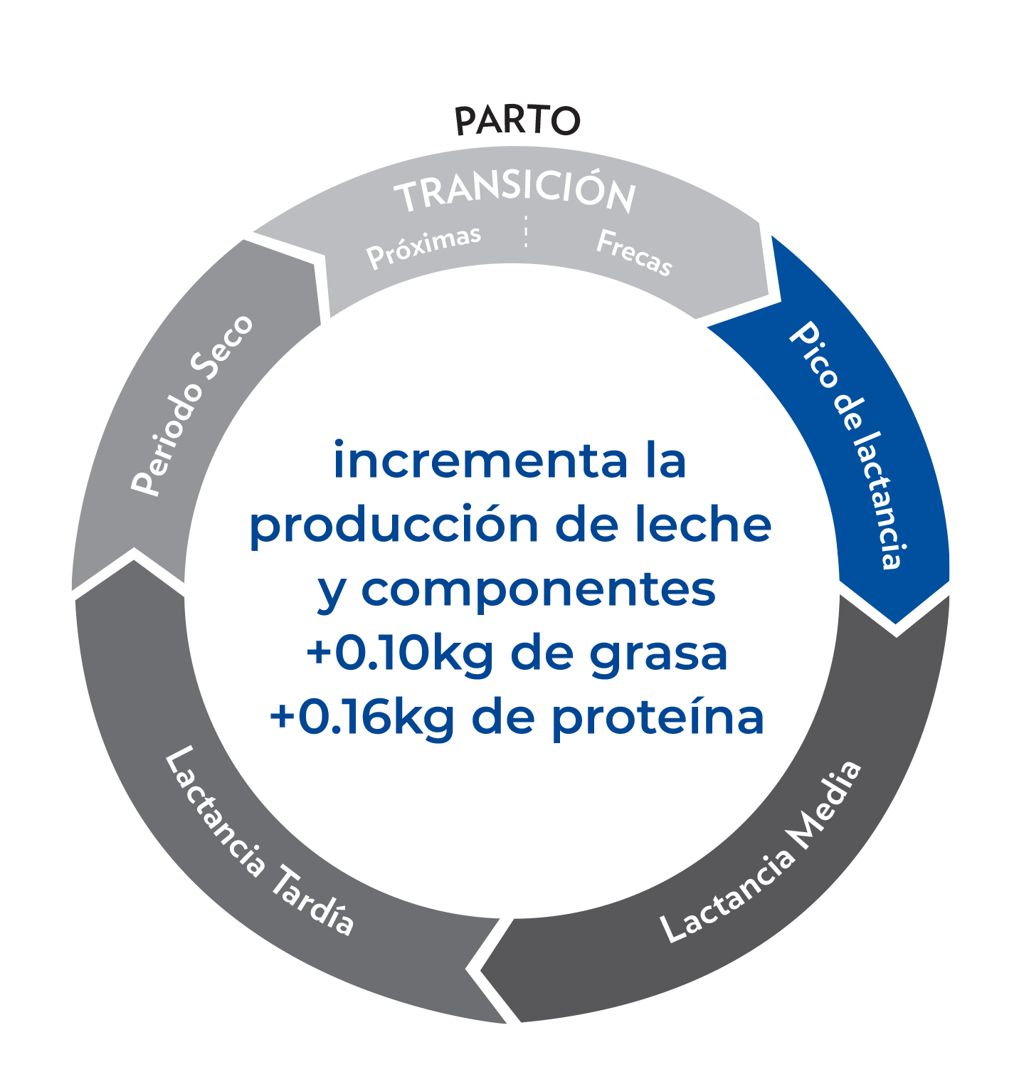 hs-es-cycle-2