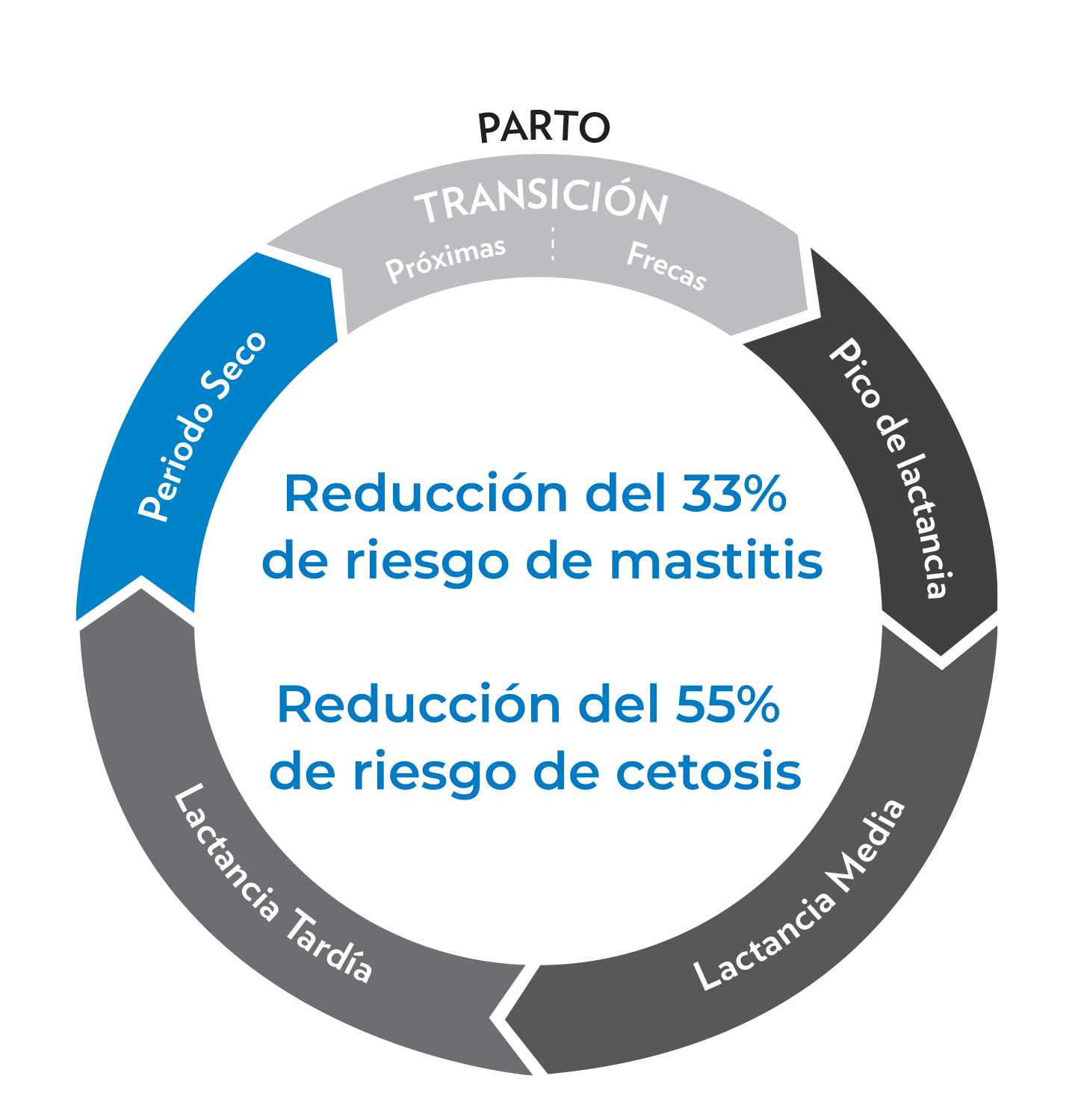 hs-es-cycle-5