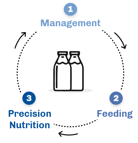 Management, feeding, and precision nutrition strategies