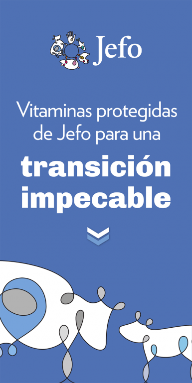 Vitaminas protegidas de Jefo para una transicion impecable