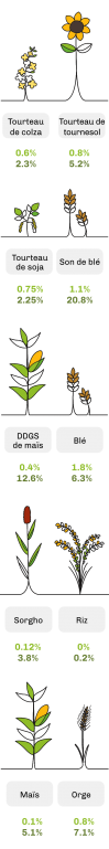 Les arabinoxylanes sont les principales fractions de NSP trouvées dans la paroi cellulaire des céréales, tels le blé et le maïs