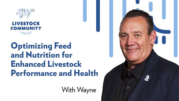 Optimizing-Feed-and-Nutrition-for-Enhanced-Livestock-Performance-and-Health-Thumb