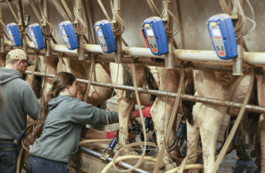 Crear y mantener de una cultura fuerte en explotaciones agrícolas