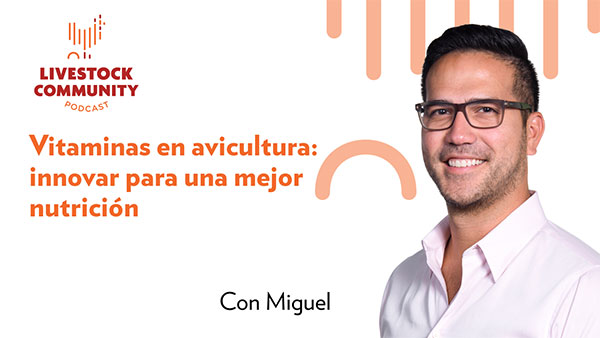 Vitaminas-en-avicultura-innovar-para-una-mejor-nutrición-ES