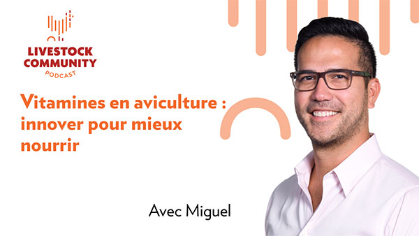 Vitamines-en-aviculture-innover-pour-mieux-nourrir-FR
