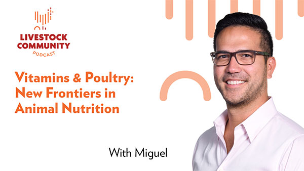Vitamins-and-Poultry-New-Frontiers-in-Animal-Nutrition-EN